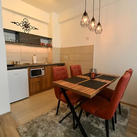 Апартаменты Petkovic 48 *